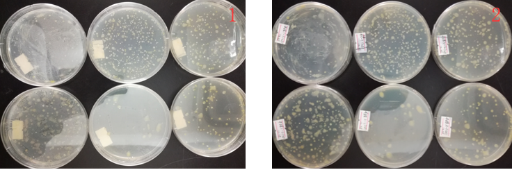 “超聲波處理對稻谷表面微生物的影響”發(fā)表論文啦??！