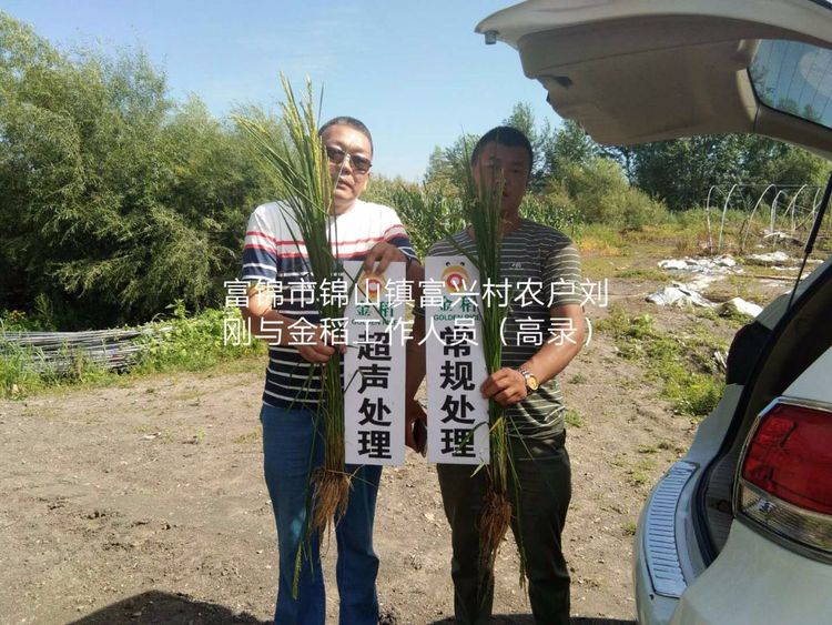 黑龍江雙鴨山市與佳木斯市的超聲波玉米、水稻種植田調(diào)查