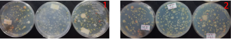 “超聲波處理對稻谷表面微生物的影響”發(fā)表論文啦??！